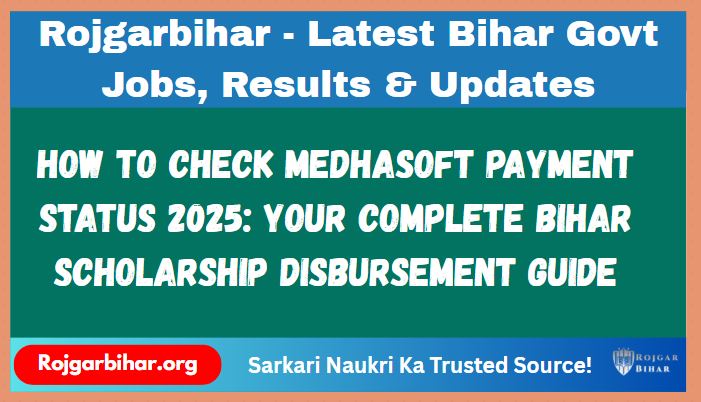 Medhasoft Payment Status